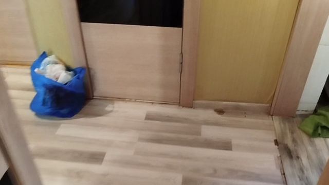 ШОК!!!🤯 🙈🤦Мы переехали...СЛАБОНЕРВНЫМ НЕ СМОТРЕТЬ!!! смотреть онлайн