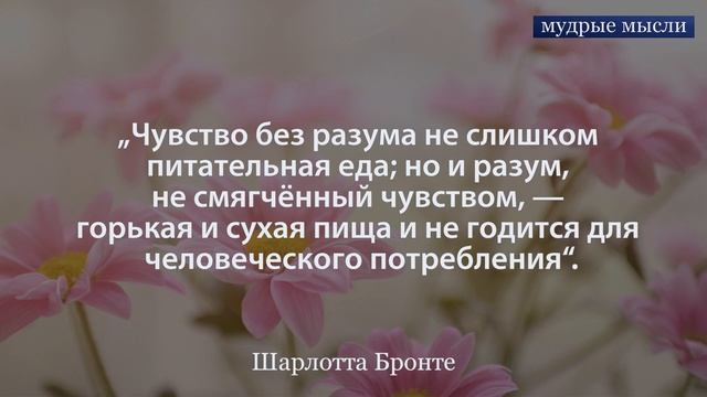 Шарлотта Бронте | Лучшие Цитаты и Афоризмы смотреть онлайн