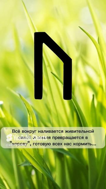 Руна Уруз и ее астрологический период