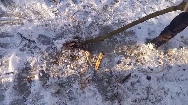 Yamate kudasay приколы на льду/йамате кудасай/мой семпай вернулся смотреть онлайн