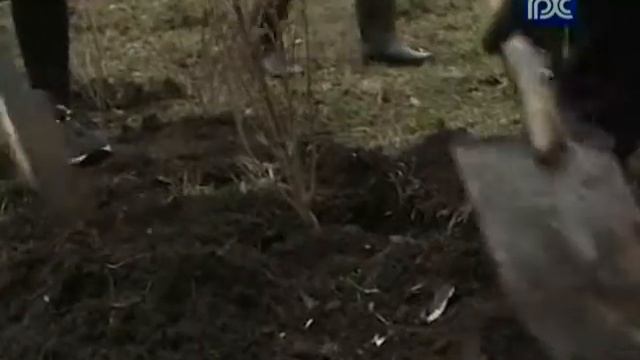 Фестиваль «Голос ремесел» пройдет в Вологде с 25 по 28 июня смотреть онлайн