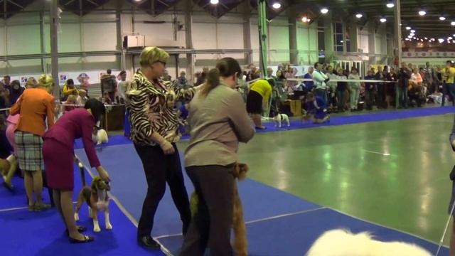 00053 24 января 2016 моно ши-тцу смотреть онлайн