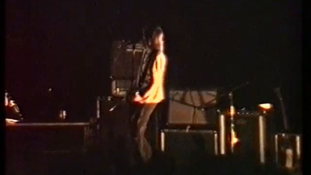 Концерт Sonic Youth – Vilnius 1989