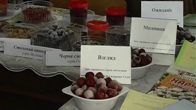 ТГАТУ АРХИВ Выставка в холле ЦКиД 22_ 10 _2008 г. смотреть онлайн