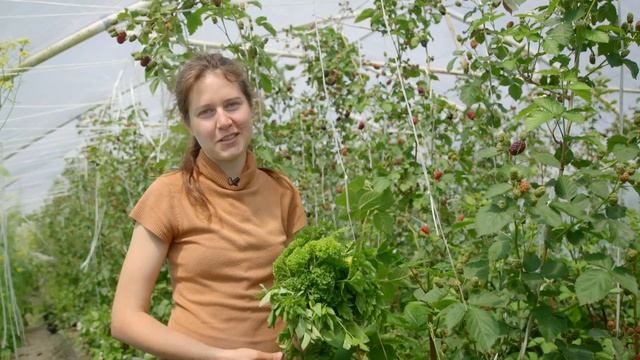 Вика Еще одна представительница прекрасной половины коллектива волонтеров смотреть онлайн