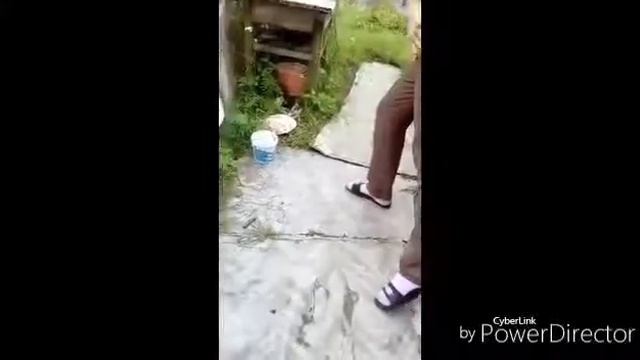 Милый ёжек.😘 жрёт наши кости.😖