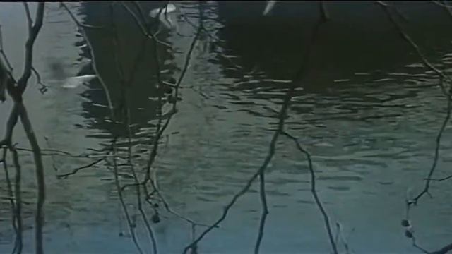 Лидер 1984 СССР смотреть онлайн