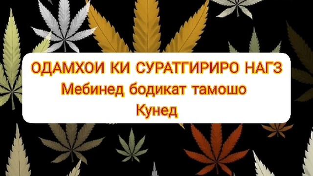 Хочи Мирзо дар боби Сурат гирифтан