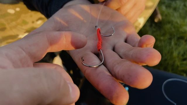 Ловля Сома с Берега | Монтаж Для Ловли Сома