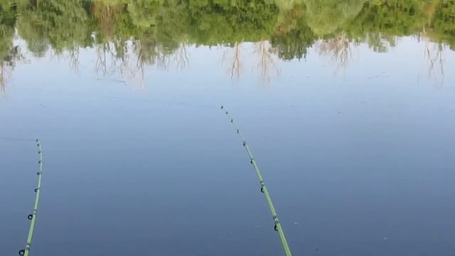 Рыбалка в заповедных местах смотреть онлайн