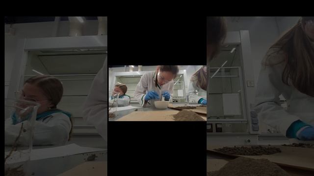 В роли почвоведов в университете "Сириус". Подготовка почвы к анализу. смотреть онлайн