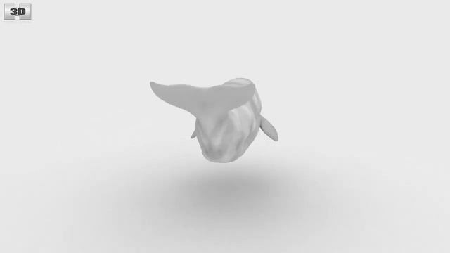 Beluga whale Low Poly 3D model by 3DModels.org смотреть онлайн