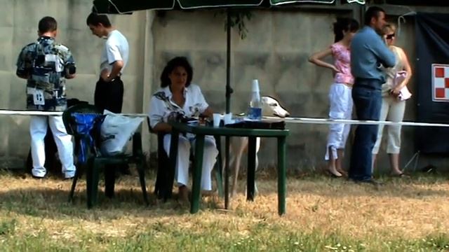 выставка часть 3 смотреть онлайн