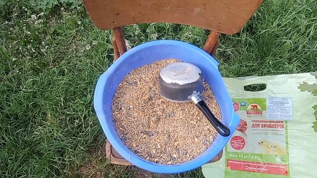 Проверено временем. Кормлю курей только таким кормом, чтобы неслись каждый день смотреть онлайн