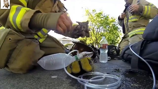 ДАЙ БОГ ЗДОРОВЬЯ И ДОЛГИХ ЛЕТ ЖИЗНИ ЭТИМ ЛЮДЯМ УВАЖУХА смотреть онлайн