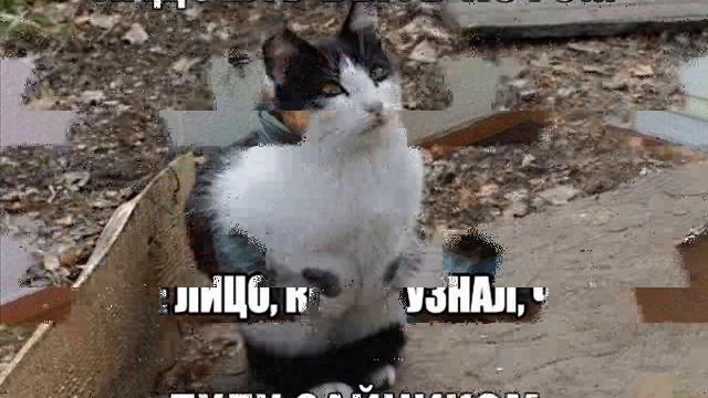 Смешные картинки (1) подпишись смотреть онлайн