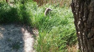 video_2025-04-29_12-50-01