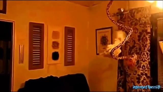 ПРИКОЛЫ НАД ЛЮДЬМИ смотреть онлайн