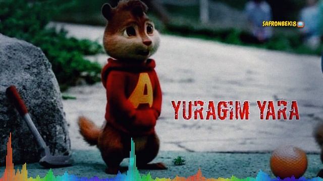 Janob Rasul-Yuragim Yara (Burunduqlar)