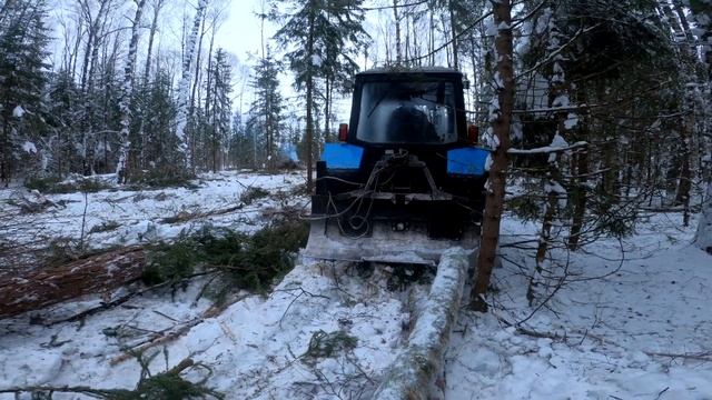 МТЗ.ЗИМНЯЯ РАБОТА В ЛЕСУ, смотреть онлайн