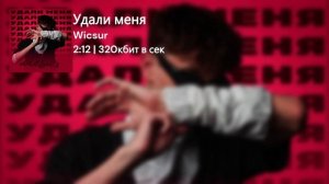 Все песни Wicsur