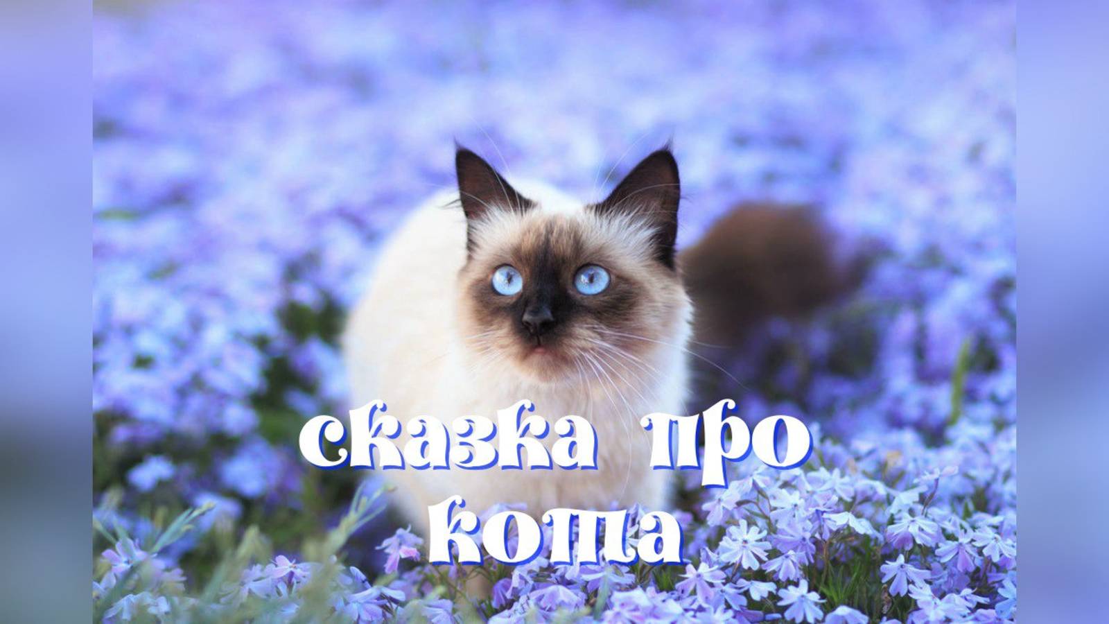 СКАЗКА ПРО КОТА, смотреть онлайн