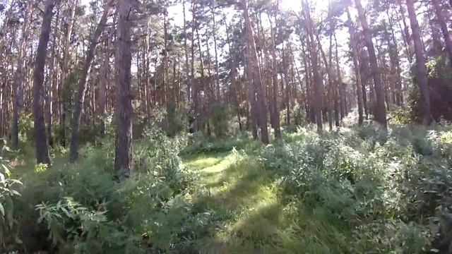 НА ДВА ДНЯ ВСЕ ЗАБУДЬТЕ/\Пламя ВИА – На два дня, на два дня Вы забудьте про меня смотреть онлайн