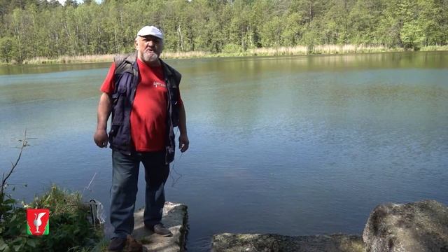 Краса и гордость Гусевской земли 1