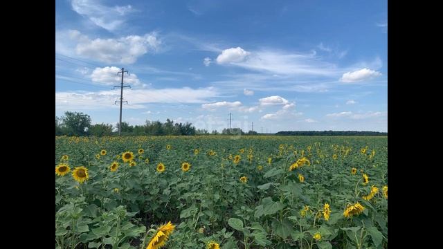 3288545 смотреть онлайн