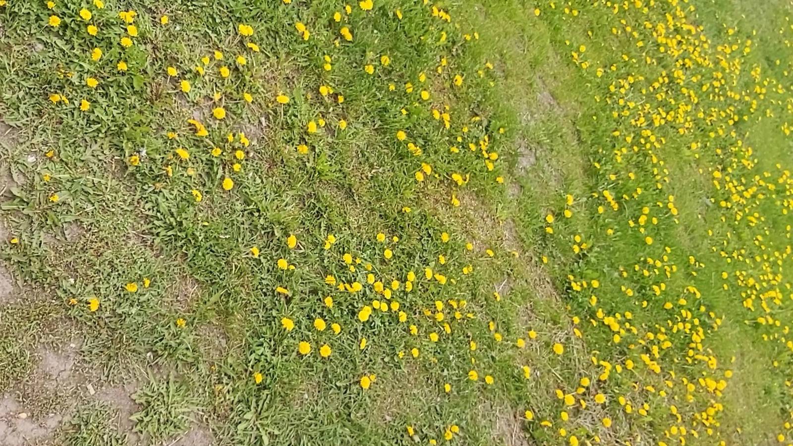 Подарок от подписчицы Елены!))) Опять в беготне. Болтаю, гуляю))) Люблю дождь))) смотреть онлайн