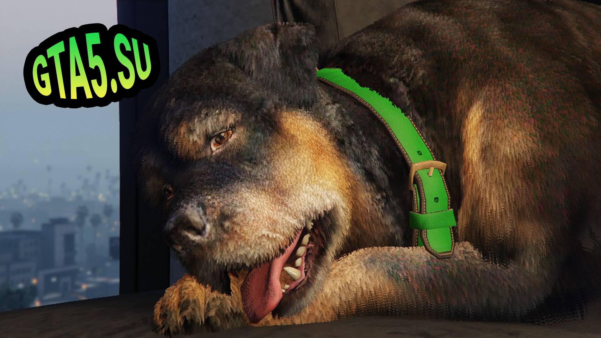 Ищем Чопа в GTA Online Богатый животный мир ГТА 5 на ПК смотреть онлайн