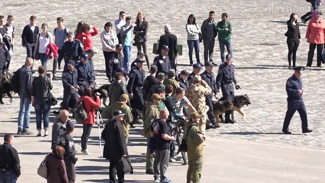 Развод на пл. Свободы. 6 мая 2015г. смотреть онлайн