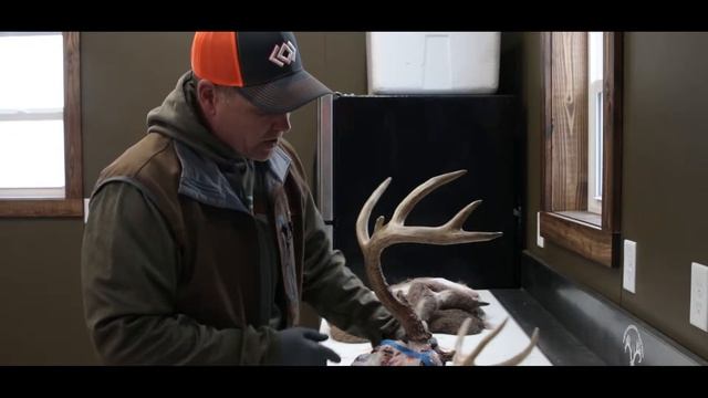 Taxidermy 101 - Episode 3 - How to Remove Antlers from the Skull смотреть онлайн