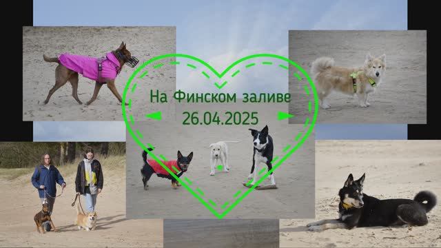 Грибной снег смотреть онлайн