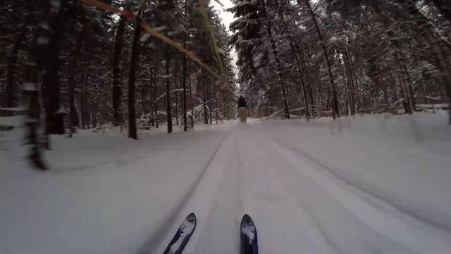 Коне-лыжный декабрь 2023. Скиджоринг в Подмосковье!