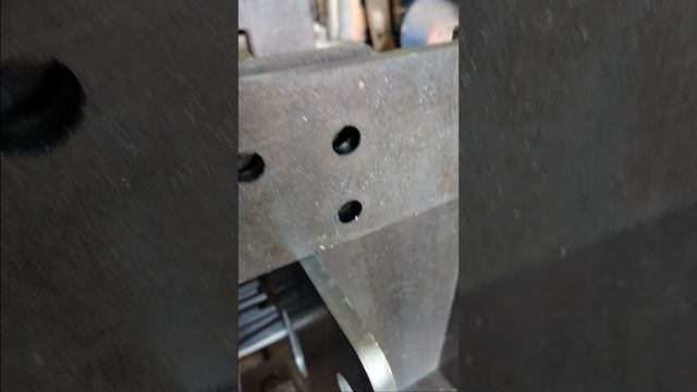 VID20250429125219.mp4