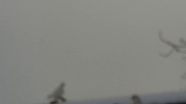 05.01.2018 Десять минут у Эдика. смотреть онлайн