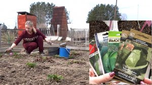 Сею капусту позднюю и цветную. На даче обработала викторию и все кусты от вредителей