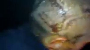 Яйцеслав вернулся