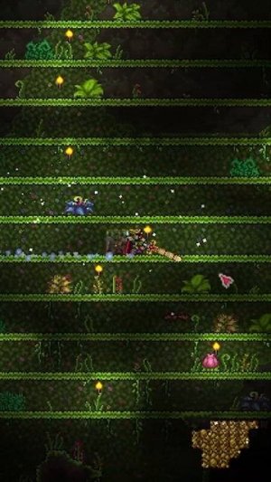 Ферма фруктов жизни в Террария terraria гайд #terraria #террария #пукич