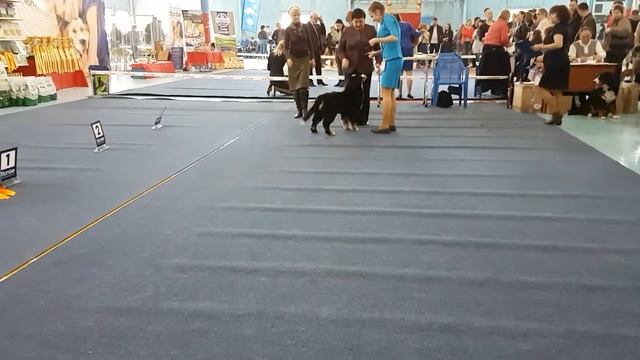 Выставка(5) смотреть онлайн