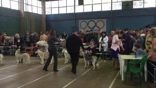 краснодар 06дек15 смотреть онлайн