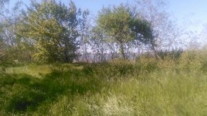 VID_20250429_155857.mp4