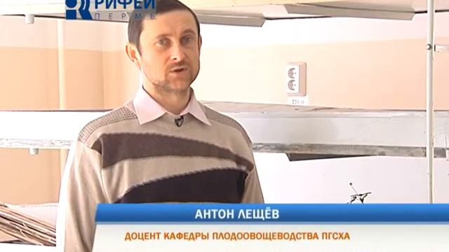 Поднежники смотреть онлайн