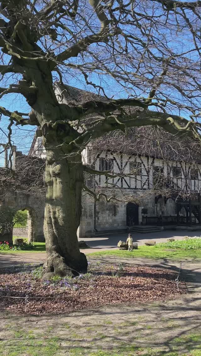 Самый красивый город Англии #городаистраны#путешествия#англия#йорк смотреть онлайн