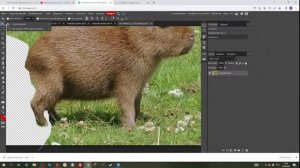 Делаю игру "Пять Ночей С Капибарой" (scratch)