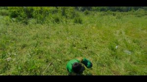 Халк против Халка в лесу. ( Превращение в Халка Мистера Дилдар)