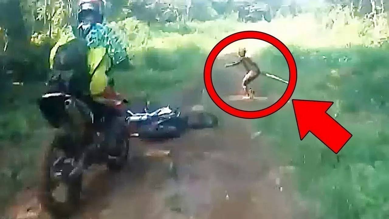 5 очень странных и загадочных существ, заснятых на камеру смотреть онлайн