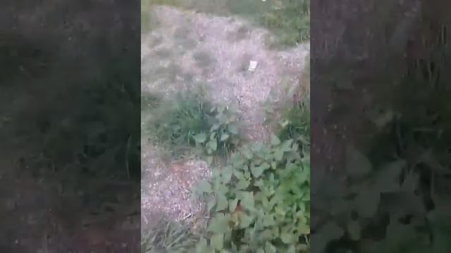 Прикол пятигорск Жорик смотреть онлайн