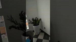 Нячанг отель Daphovina бассейн